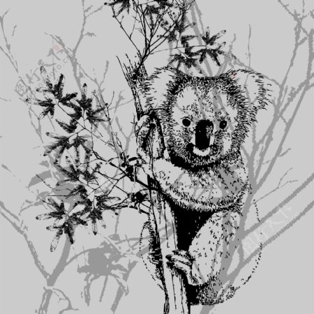 印花矢量图动物树袋熊考拉树枝免费素材