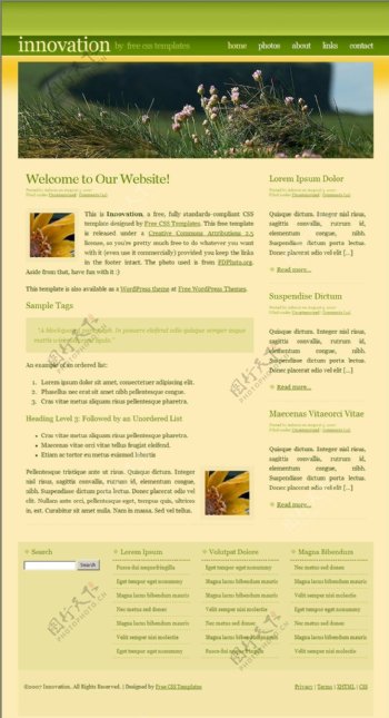 绿色植物研究信息网页模板
