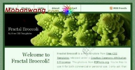 花椰菜信息BLOG网页模板