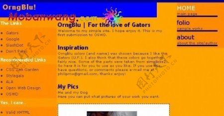 橙色宠物信息网页模板
