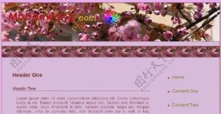 紫色蔷薇网页模板