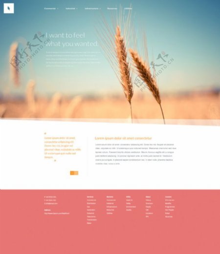 农作物网页设计