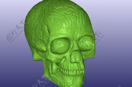 凯尔特人颅骨的三维扫描空心