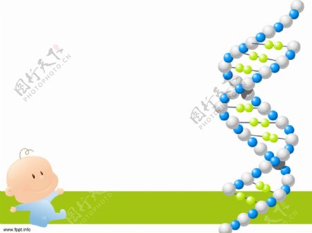 DNA亲子鉴定的ppt模板