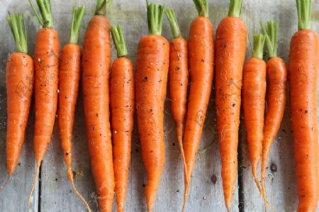胡萝卜Carrot图片
