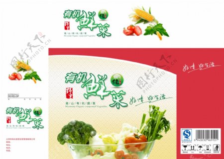 有机蔬菜绿色健康包装图片
