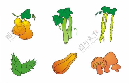 瓜果蔬菜图片