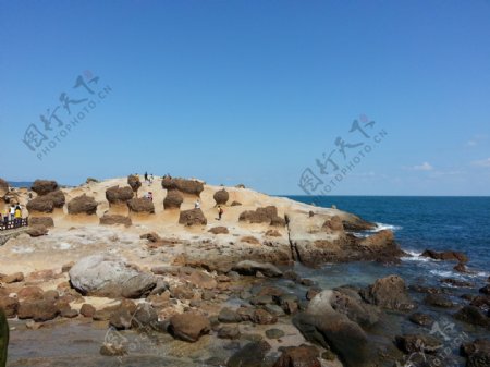 台湾野柳的海景香菇岩图片