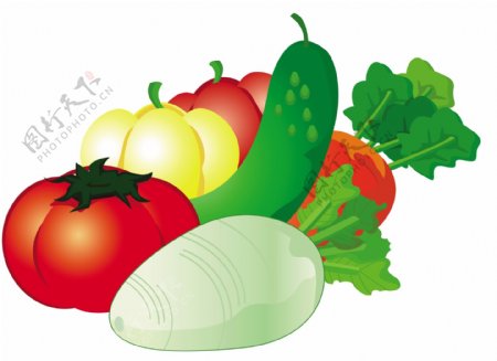 蔬菜卡通蔬菜图片