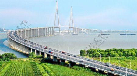 苏通长江大桥图片