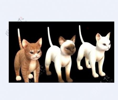 几只可爱的小猫眯模型