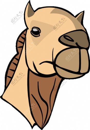 骆驼的头夹艺术