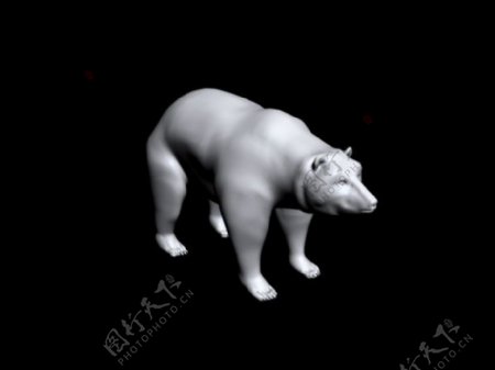 狗熊模型