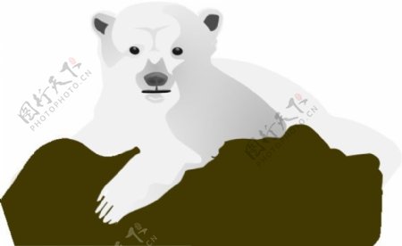 北极熊的剪辑艺术