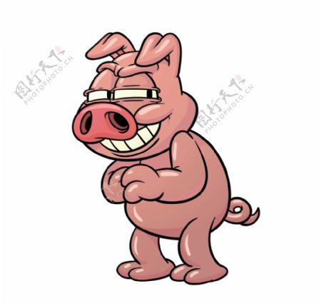 猪动画矢量图图片
