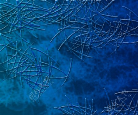 蓝色的微生物纹理