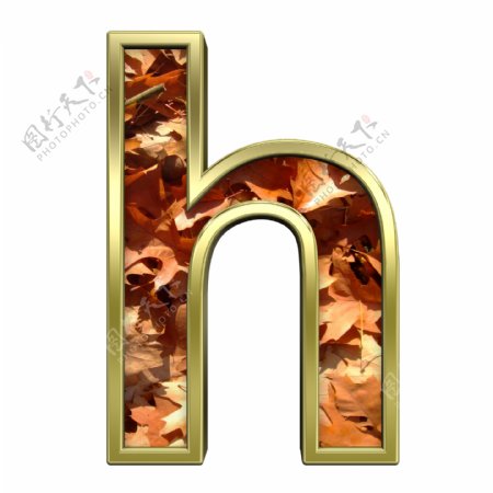 一个小写字母从秋天的金色字母集