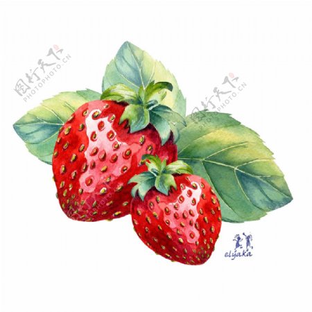 水果设计草莓图片下载