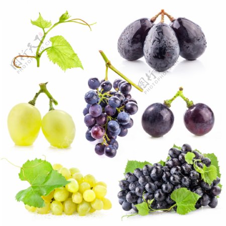 收集的葡萄