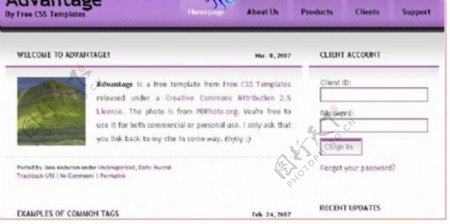 紫色主题BLOG网页模板