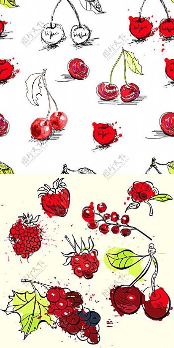 彩绘水果插图矢量素材
