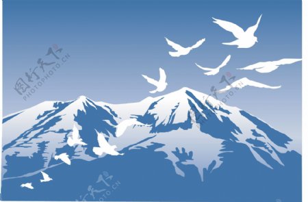 雪山飞鸟背景图片
