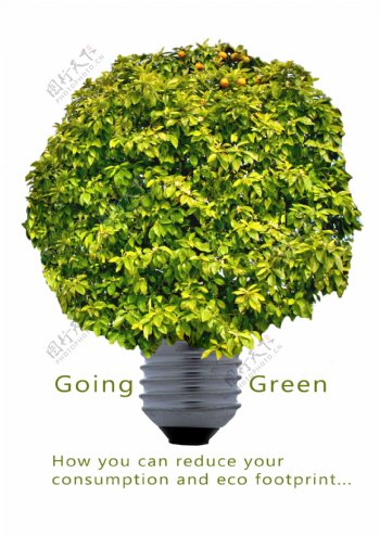 节能绿树电灯环保海报图片