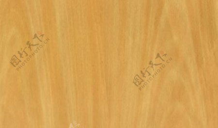 榉木01木纹木纹板材木质