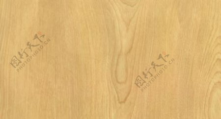 桦木5木纹木纹板材木质