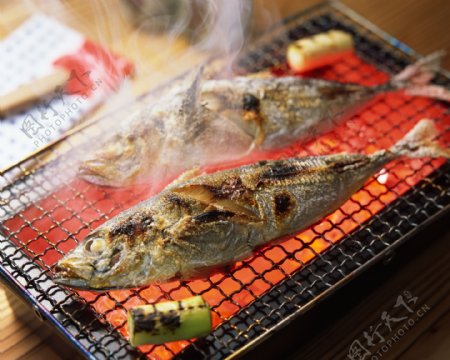 餐饮美食传统美食海鲜鱼翅