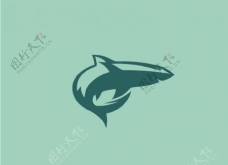 鲨鱼logo图片