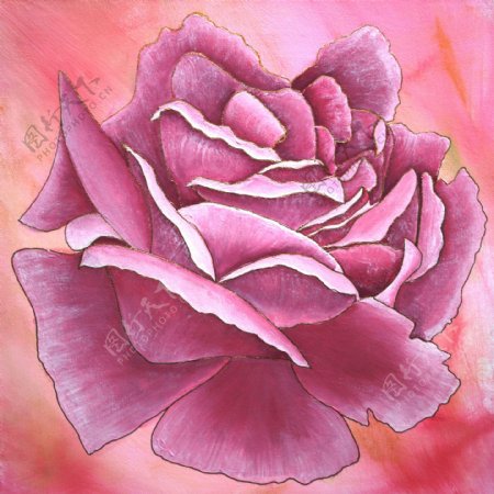 牡丹花卉油画图片