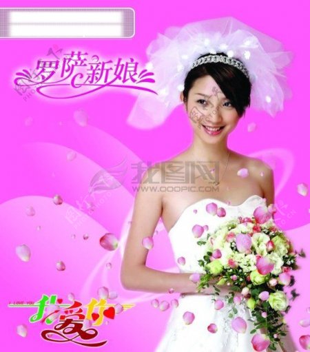 婚纱礼服图片婚纱造型图片婚纱美女图片罗萨新娘