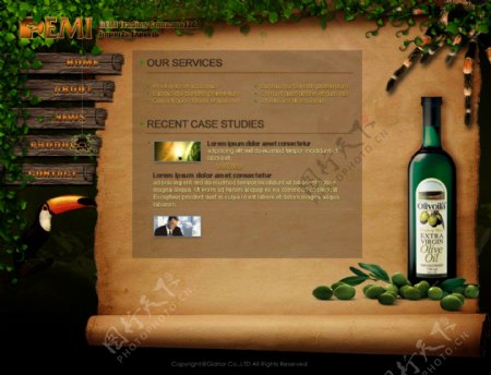 橄榄油网页设计模版图片