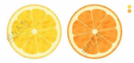 橙子PSD分层素材