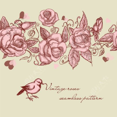 矢量手绘玫瑰花朵背景素材
