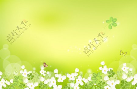 绿色花纹展板图片