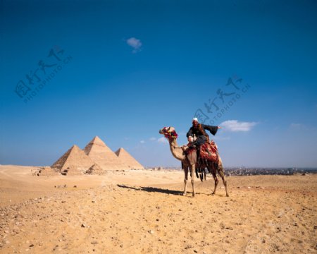 埃及风光自然景观