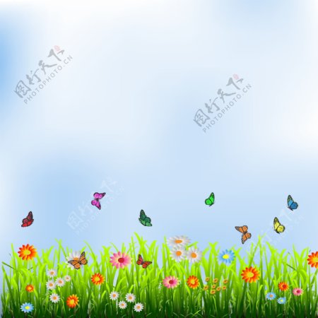 时尚花卉蝴蝶背景图片