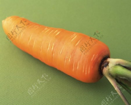 红萝卜蔬菜蔬菜图片蔬菜图片大全