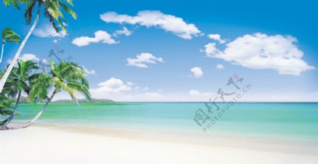 蓝天海滩椰树图片