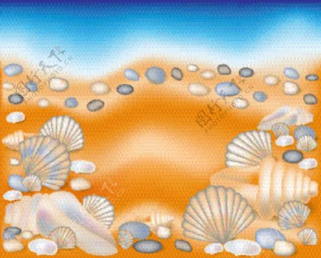 手绘沙滩贝壳石子图片