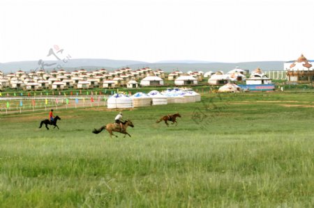 蒙古草原赛马图片