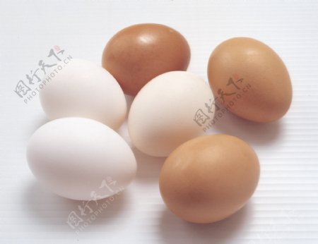 鸡蛋鸡蛋包装