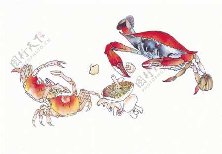 中华艺术绘画古画家庭生活瓜果蔬菜肉类鱼类中国古代绘画