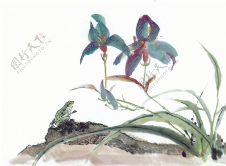 中华艺术绘画古画植物蔬菜中国古代绘画