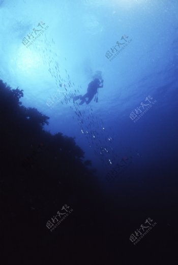 海底游泳图片
