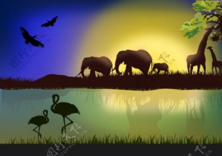 非洲野生动物景观矢量素材