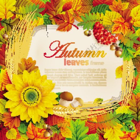 美丽的秋天树叶相框背景矢量素材07