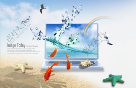 海滩上的笔记本电脑和金鱼